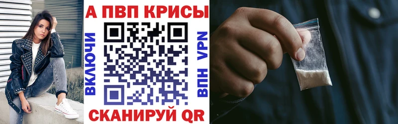 Альфа ПВП СК КРИС  Теберда 