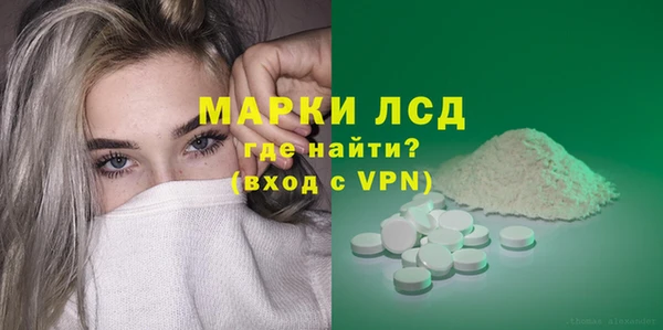 стаф Инта