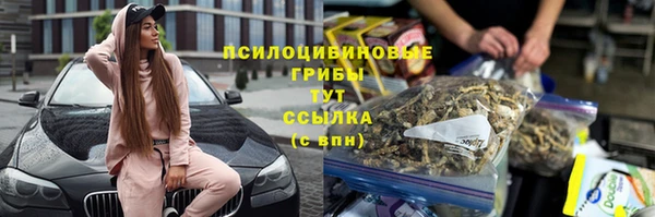 spice Баксан