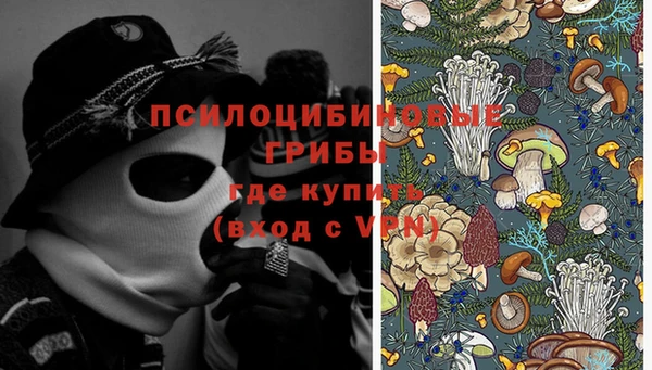 spice Баксан